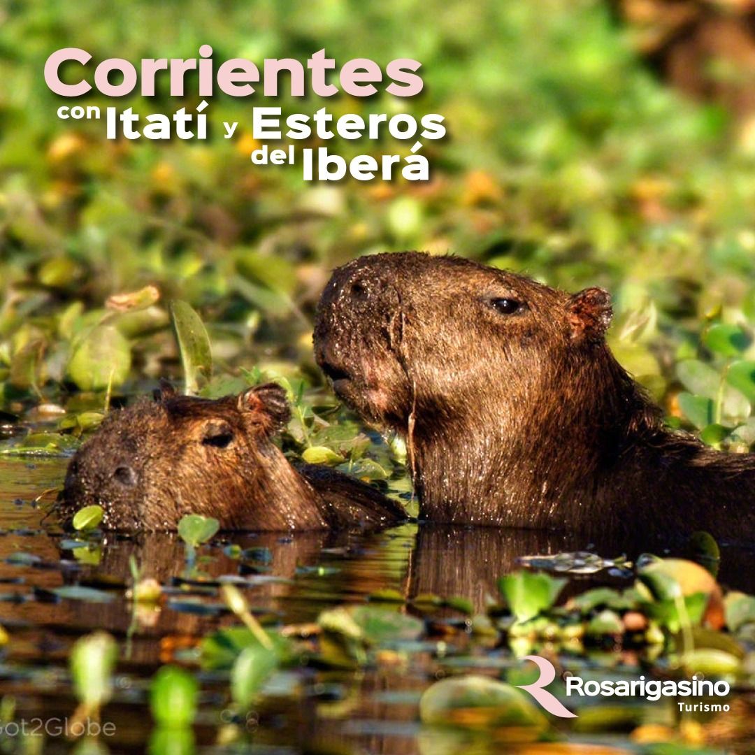 corrientes-con-itati-y-esteros-del-ibera-197